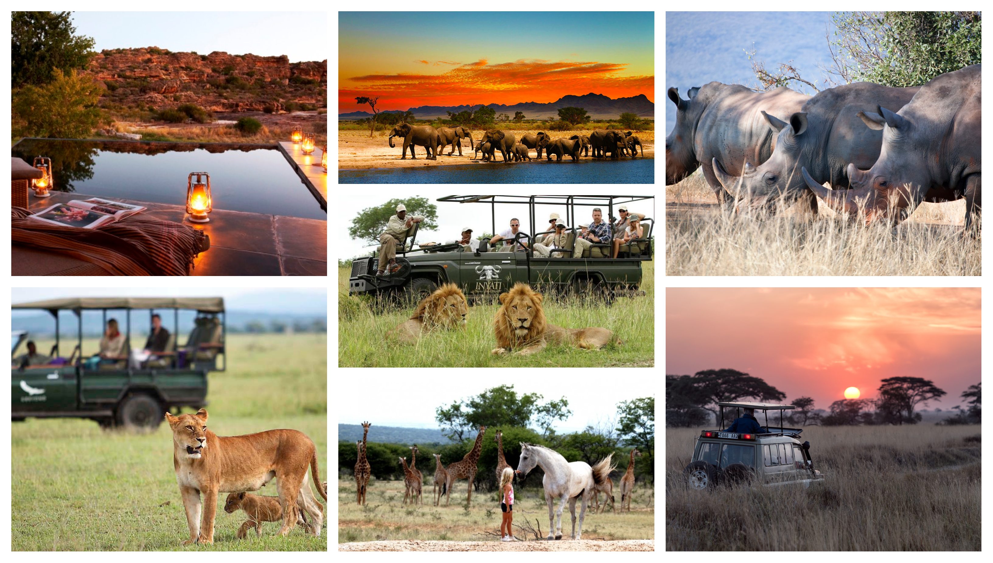 Safari holidays in africa