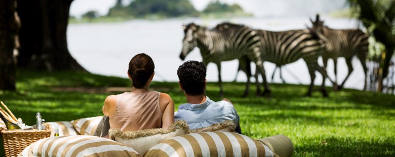 Honeymoons Safari,Safari holidays in Africa