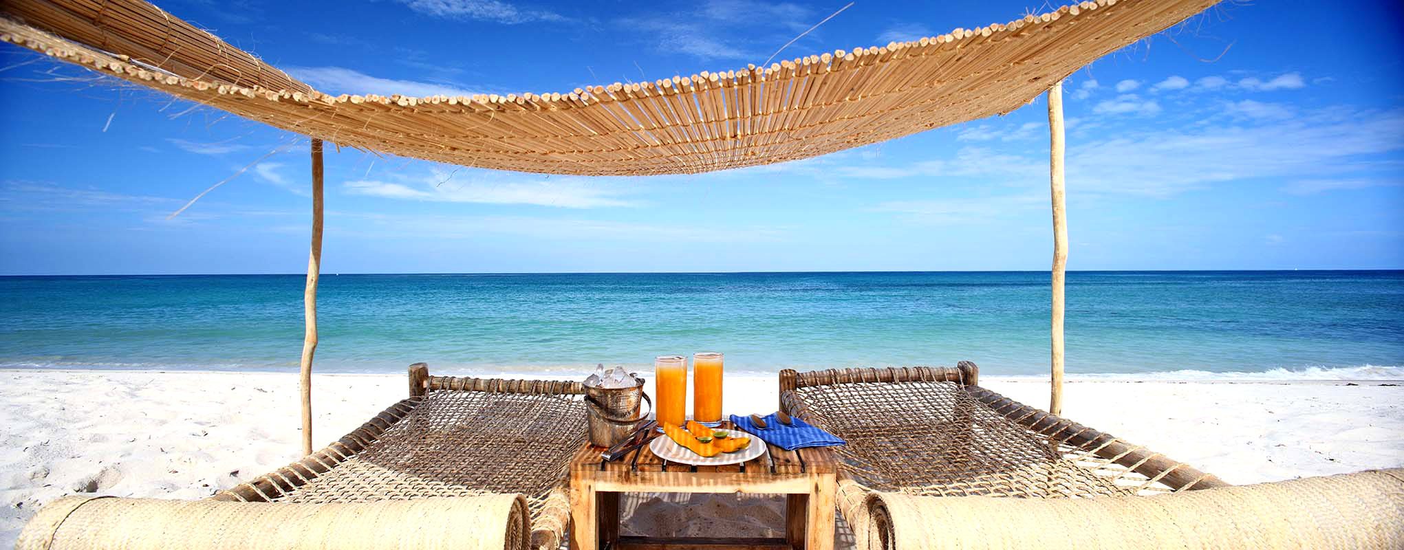 Safari and Beach, Safari holidays in Africa