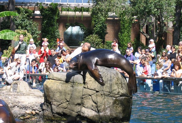 zoo in central park